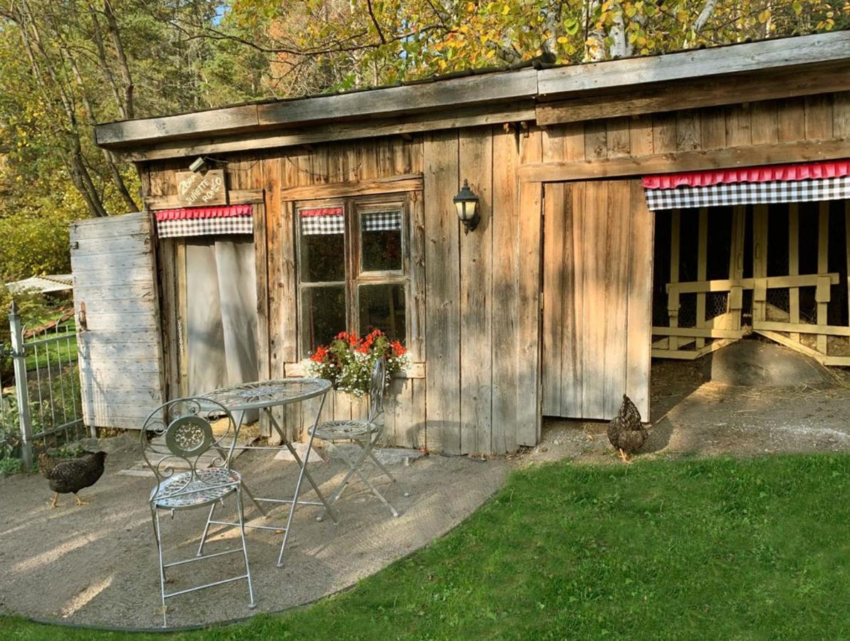 Appartement Champetre Saguenay Zewnętrze zdjęcie